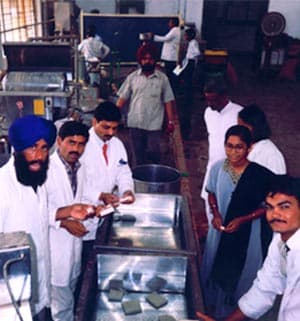 Production team inspecting value-added soy foods